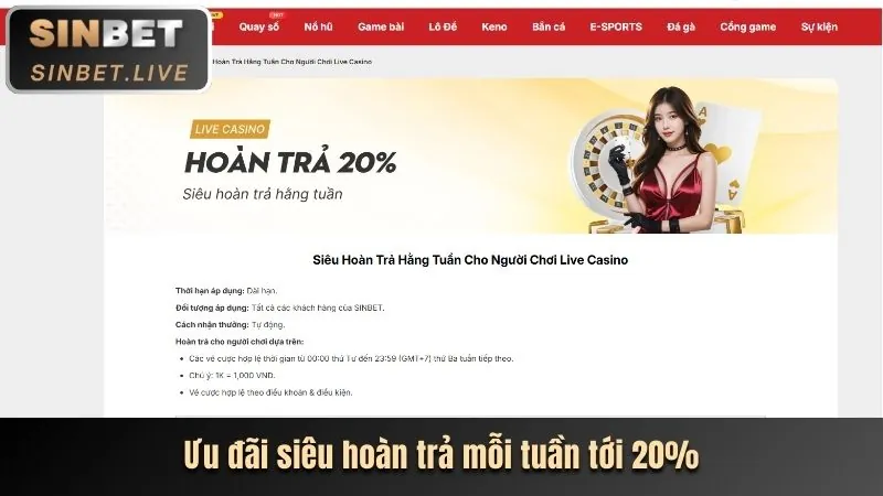 Phân tích tính năng mới nhất của tải sc881